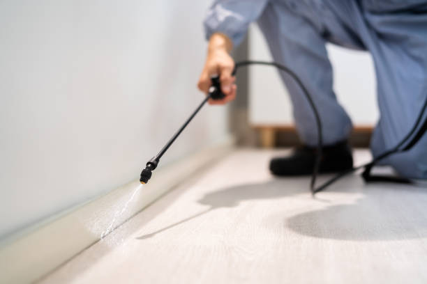 Licensed Pest Control service in North Hornell, NY - Show Me Pest Control