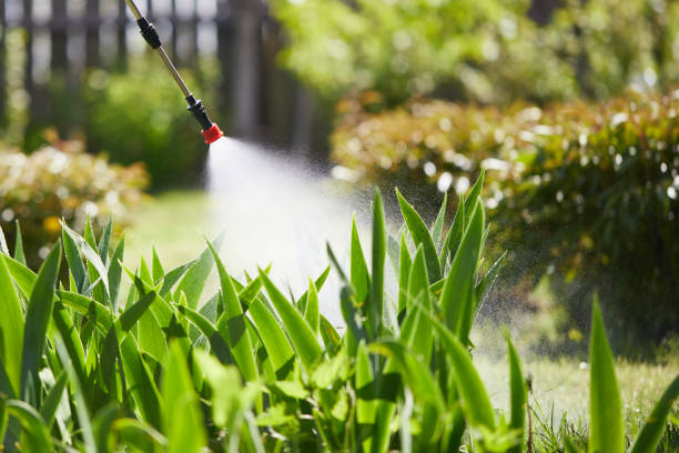 24/7 Emergency Ant Control experts in North Hornell, NY